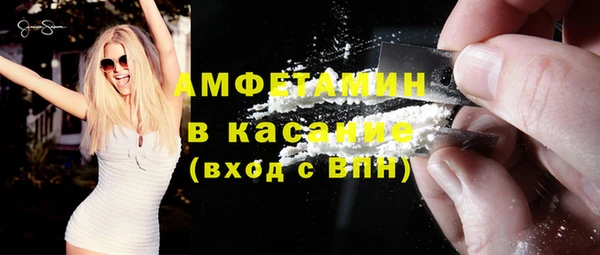 мдпв Краснослободск