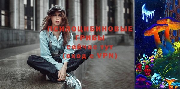 дмт Кондопога