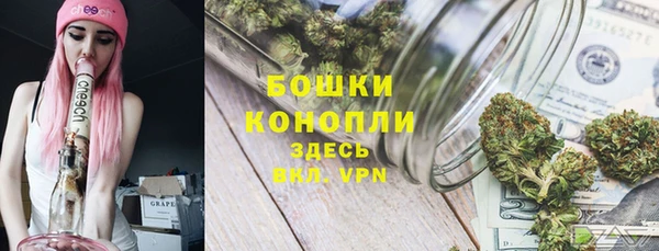 ALPHA PVP Куйбышев